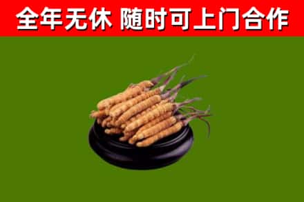 浦北县烟酒回收冬虫夏草.jpg