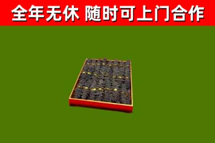 浦北县回收海参